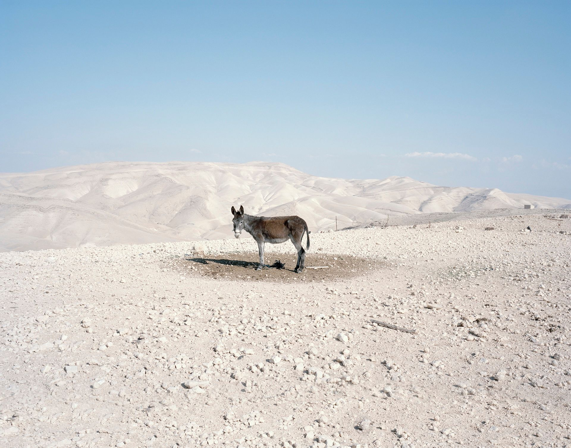 Πάρις ΠετρίδηςΒηθλεέμ, 2012 C-print σε αλουμίνιο Ευγενική παραχώρηση του καλλιτέχνη