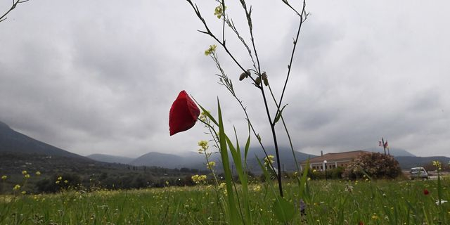 Λασποβροχή και σκόνη στην Αργολίδα