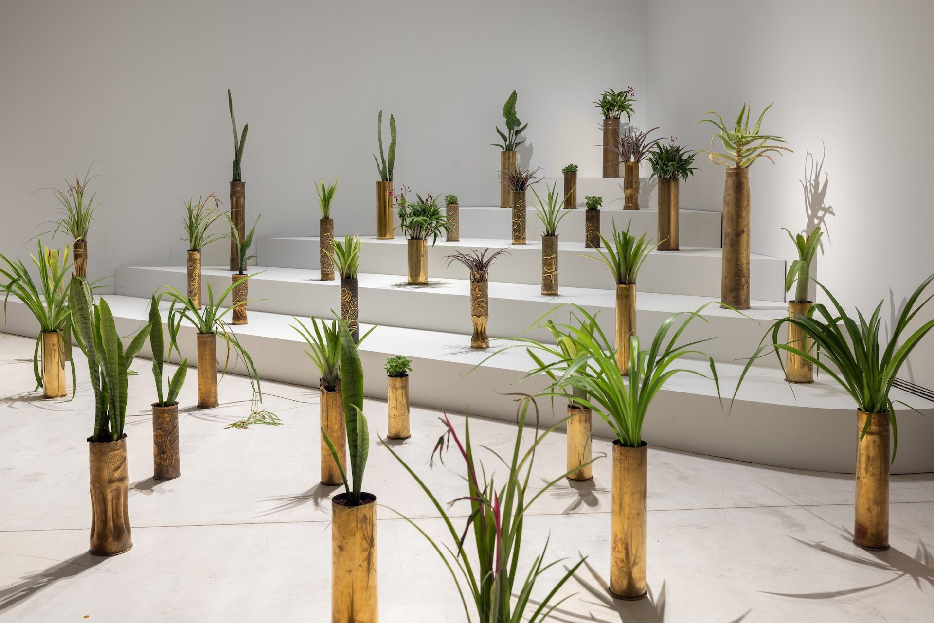 Άποψη εγκατάστασης από την ατομική έκθεση του Sammy Baloji: Echoes of Progress, Shadows of History / Απόηχοι της ιστορίας, σκιές της προόδου, 2025. Παραγωγή ΕΜΣΤ. Ευγενική παραχώρηση του καλλιτέχνη και της Imane Farès, Παρίσι. Φωτογραφία: Πάρις Ταβιτιάν.