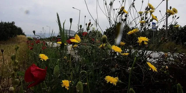 Καιρός: Παραμένει η αστάθεια – Πού θα βρέξει την Πρωτομαγιά