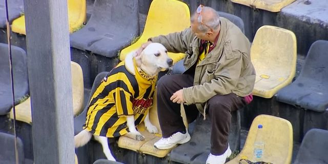 Αυτός είναι ο σκύλος που έγινε viral στο Βικελίδης: Τον λένε Άρη, έχει διαρκείας στη Θύρα 3 και συμμετέχει στα συνθήματα