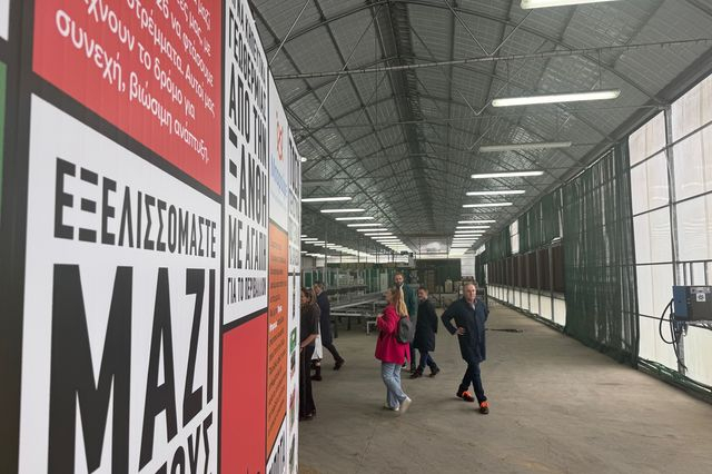 Θερμοκήπια Θράκης: Στόχος η επιστροφή στα κέρδη το 2026 – Στο τραπέζι δύο νέες επενδύσεις
