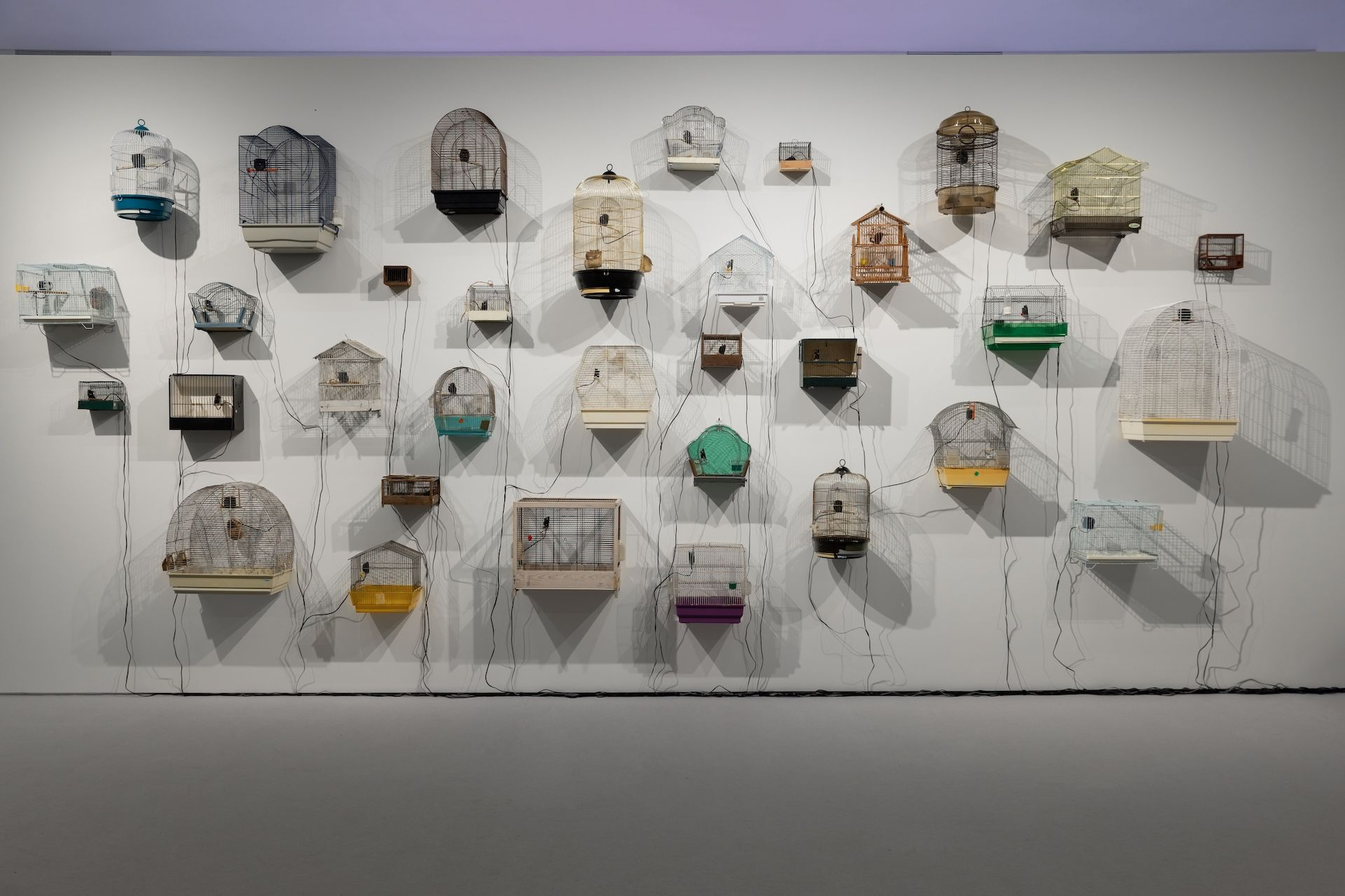 Oussama Tabti Homo-Carduelis, 2022 (άποψη εγκατάστασης) Ηχητική εγκατάσταση Κλουβιά πουλιών, ηχεία, 33΄ σε λούπα Μεταβλητές διαστάσεις Συλλογή του ΕΜΣΤ Φωτογραφία: Πάρις Ταβιτιάν