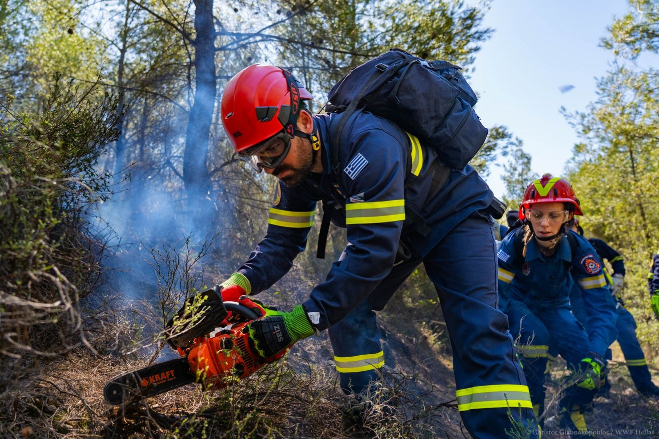 Οι εθελοντές δασοπυροσβέστες δεν είναι ήρωες