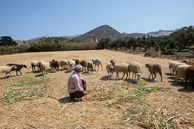 Περιγράφεται με απλά λόγια η υπόθεση διαφθοράς στον ΟΠΕΚΕΠΕ;