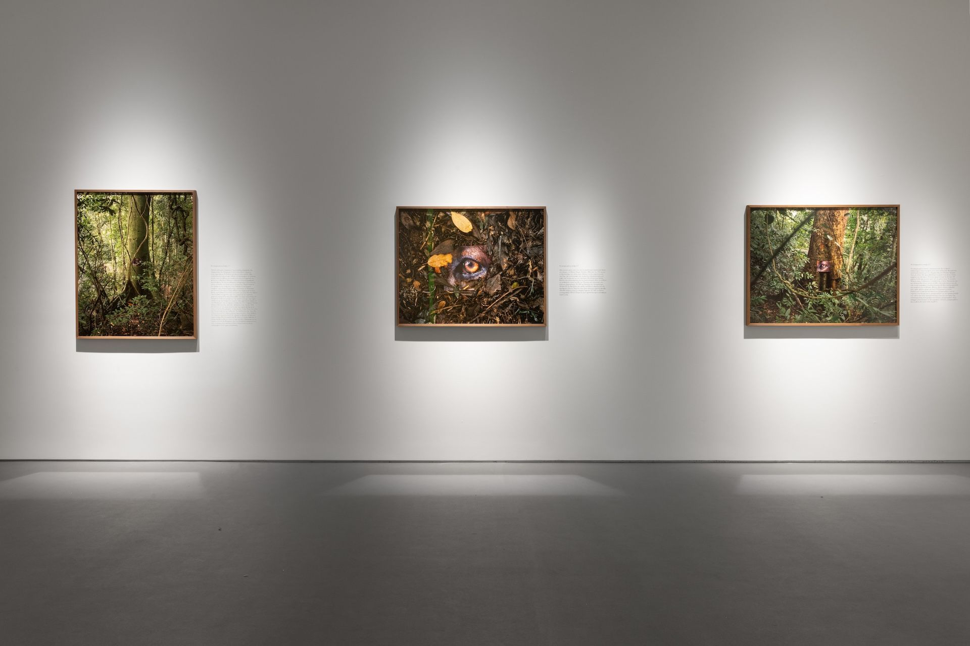 Daniel Steegmann Mangrané La Pensée Ferale, 2020 (άποψη εγκατάστασης, λεπτομέρεια) Εκτυπώσεις cibachrome και κείμενα σε μεταξοτυπία (κείμενο Juliana Fausto) Μεταβλητές διαστάσεις Ευγενική παραχώρηση του καλλιτέχνη και Esther Schipper, Βερολίνο l Παρίσι l Σεούλ 