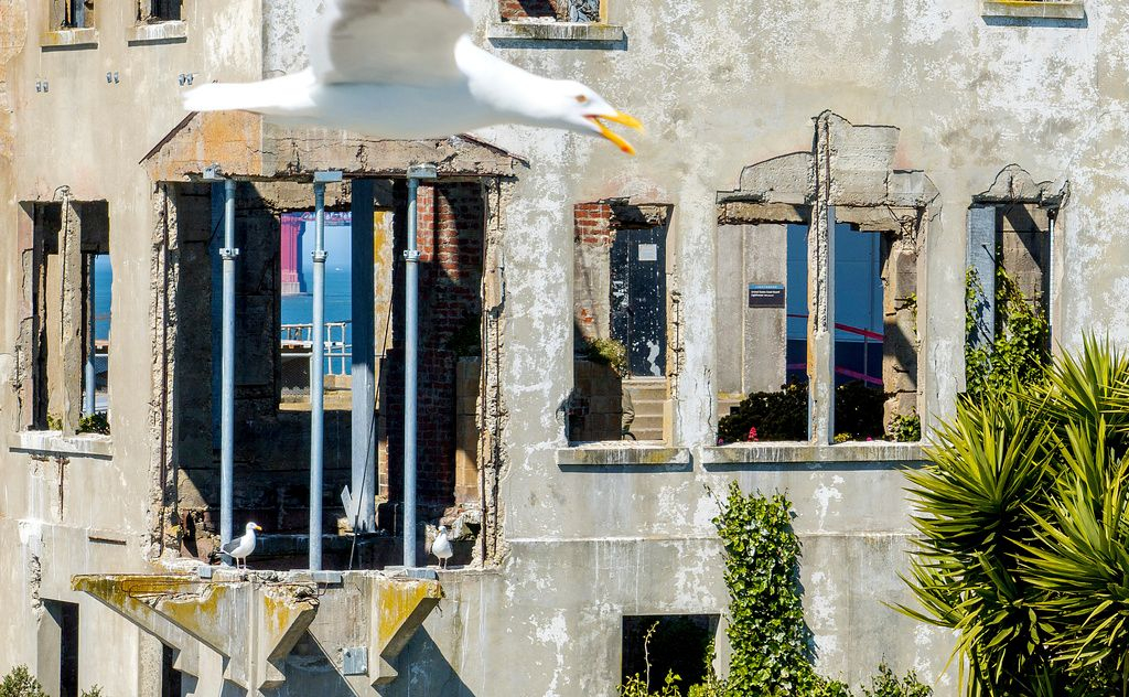 Αλκατράζ 2025