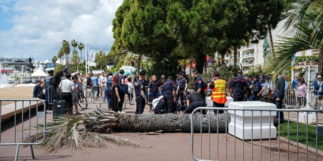Κάννες: Τραυματίστηκε άνδρας από πτώση φοίνικα στην Κρουαζέτ