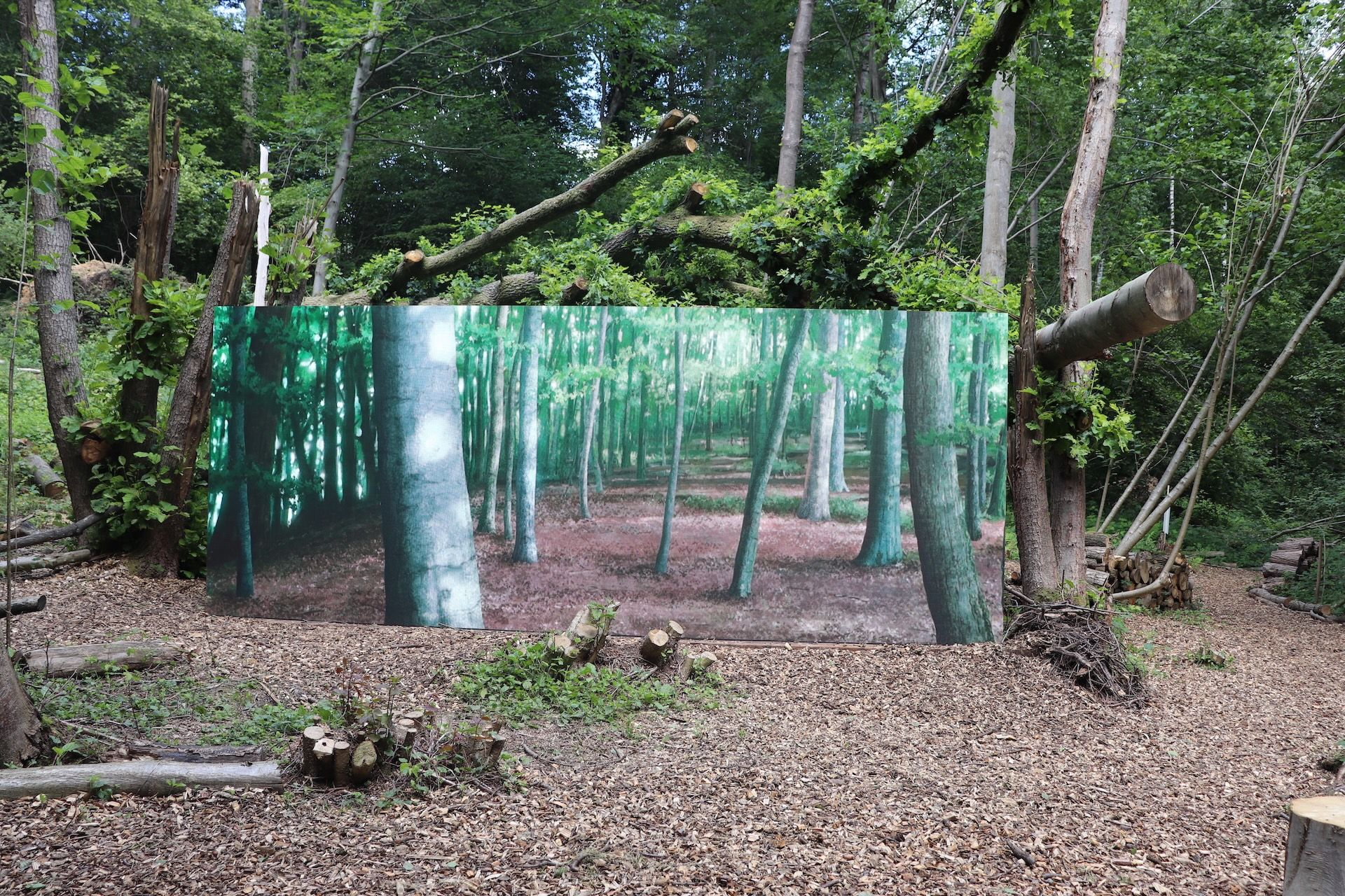 Simona Denicolai & Ivo Provoost hello, are we in the show?, 2020 Tαινία κινουμένων σχεδίων Μονοκάναλο βίντεο, έγχρωμο, με ήχο, 10΄ 25΄΄ Ευγενική παραχώρηση των καλλιτεχνών Παραγωγή S.O.I.L. – Geert Van Goethem και Linda Sterckx – με την υποστήριξη του Musée de la Chasse et de la Nature, Παρίσι και του Netwerk, Άαλστ∙ μια συμπαραγωγή του S.M.A.K., Γάνδη και του BPS22, Σαρλερουά∙ με την υποστήριξη του Ταμείου Οπτικοακουστικών της Φλάνδρας (VAF) και του Casa Kafka Pictures Movie Tax Shelter με υποστήριξη από την Belfius∙ Χρηματοδότηση για την Καλλιτεχνική Παραγωγή μέσω Solang Production, Παρίσι, Βρυξέλλες. Ευγενική παραχώρηση των καλλιτεχνών και - S.O.I.L. - LMNO Βρυξέλλες.
