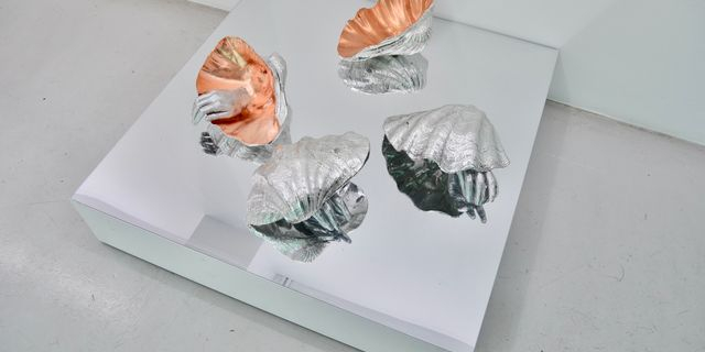 Δημήτρης Γκέτσις, Ghosts in the shell, 2023, Ρητίνη με fiberglass, αλουμίνιο και φύλλα χαλκού, καθρέφτης pvc, σε τέσσερα μέρη, διαστάσεις περίπου 12 x 40 x 31 cm (έκαστο) , Ευγενική παραχώρηση The Breeder, Αθήνα