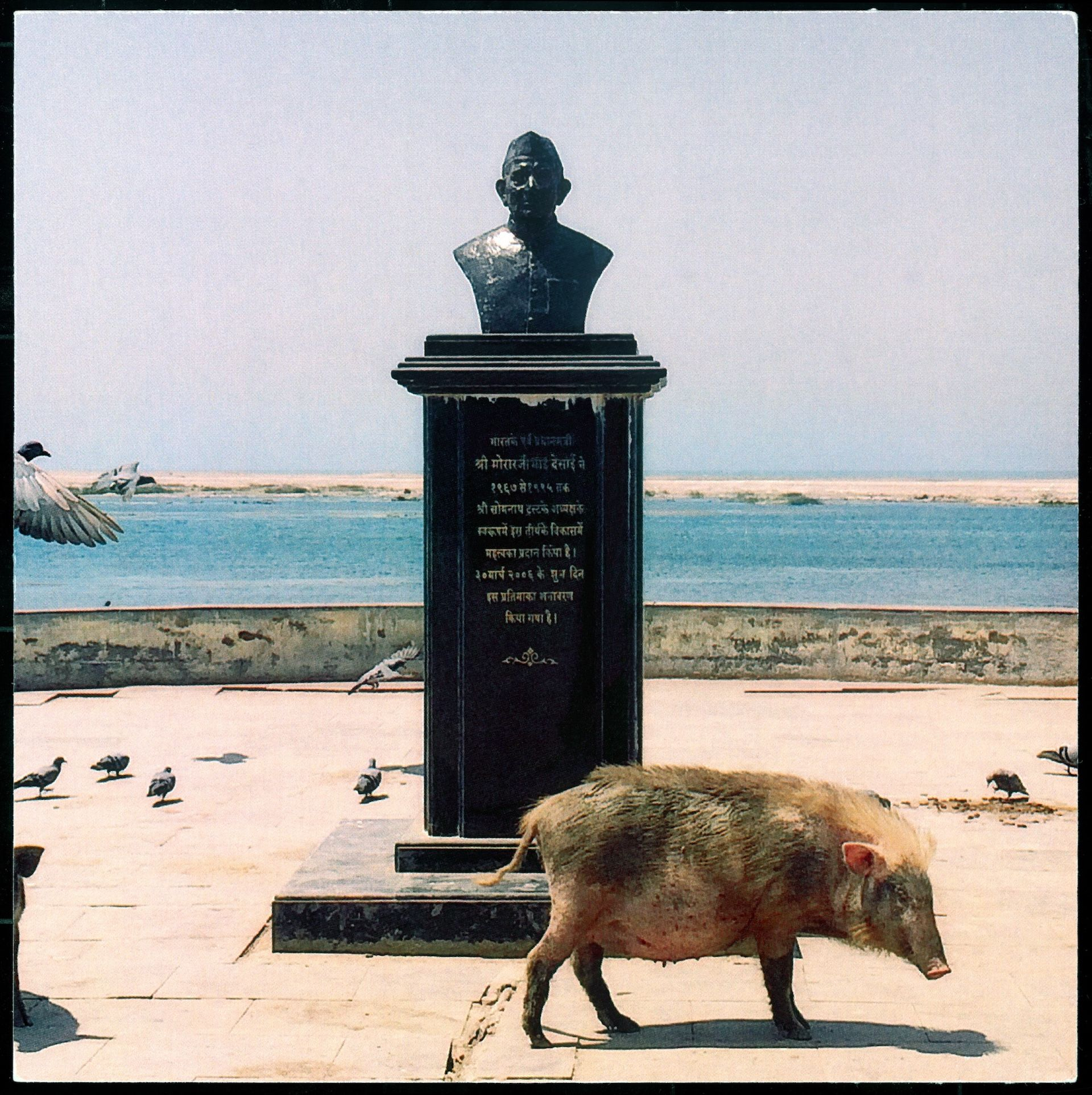 Αλέξανδρος ΓεωργίουPig and politician, 2014
Επεξεργασμένες φωτογραφίες μικτής τεχνικής
12 x 12 εκ. Ευγενική παραχώρηση του καλλιτέχνη και της Γκαλερί Ρεβέκκα Καμχή, Αθήνα