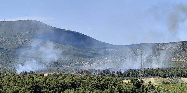Φωτιά στη Ριτσώνα: Στη μάχη 100 πυροσβέστες και 9 εναέρια μέσα