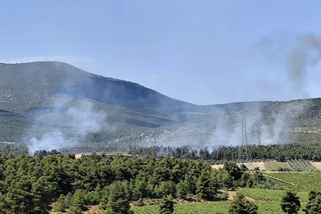Φωτιά στη Ριτσώνα: Στη μάχη 100 πυροσβέστες και 9 εναέρια μέσα
