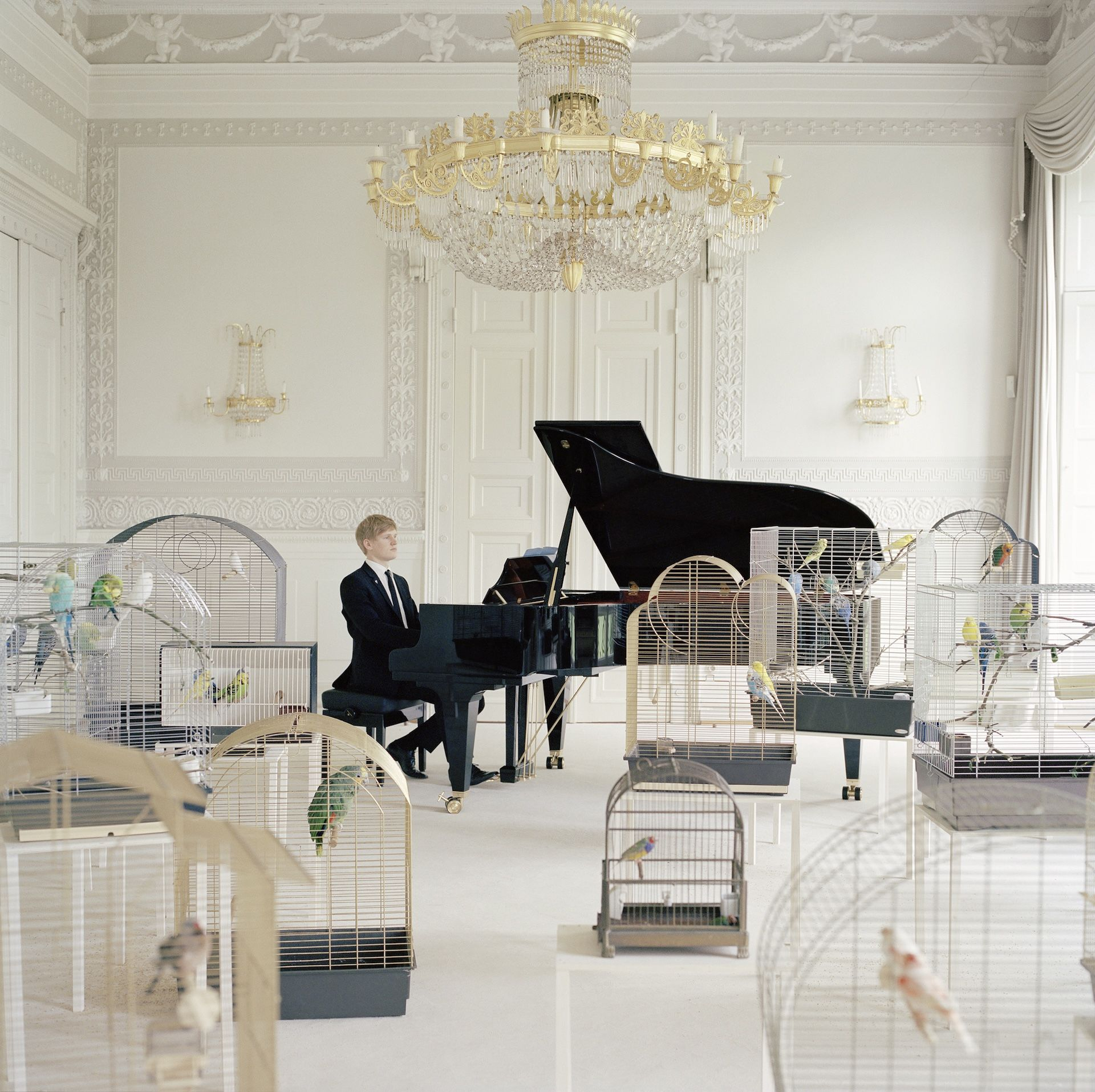 Annika KahrsPlaying to the Birds, 2013 (στιγμιότυπο) Μονοκάναλο βίντεο, έγχρωμο, με ήχο, 14΄ Ευγενική παραχώρηση της καλλιτέχνιδας και της Produzentengalerie Αμβούργο