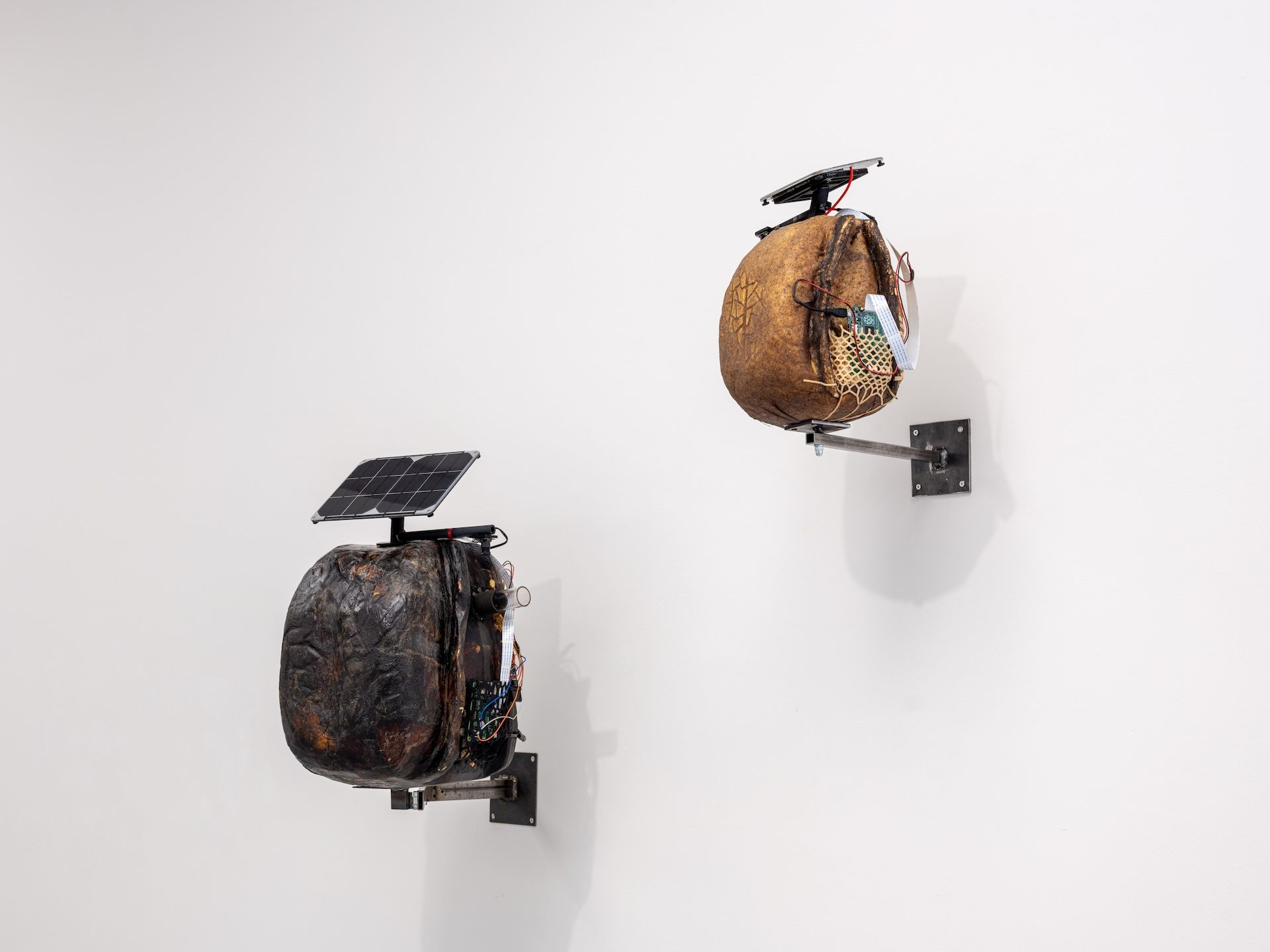 Anne Marie Maes Intelligent Guerrilla Beehive (Bee Agency), 2017-2019 Οργανικά υλικά και τρισδιάστατες εκτυπώσεις, ηλεκτρική εγκατάσταση, φωτοβολταϊκό, υπολογιστής Raspberry Pi Μεταβλητές διαστάσεις Ευγενική παραχώρηση της καλλιτέχνιδας Άποψη εγκατάστασης: M ΗΚΑ, Μουσείο Σύγχρονης Τέχνης, Αμβέρσα Φωτογραφία: Kristien Daem