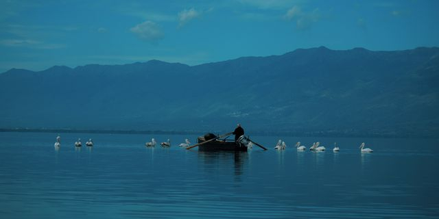 Μια βαρκάδα στη Λίμνη Κερκίνη είναι μια εμπειρία που πρέπει να κάνεις στη ζωή σου