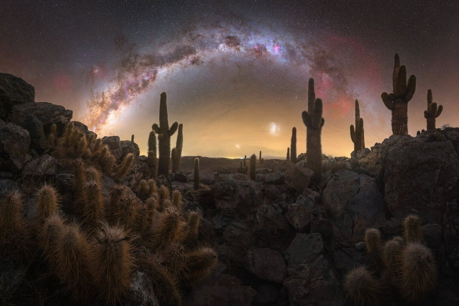 “Valle de los Cactus” – Pablo Ruiz