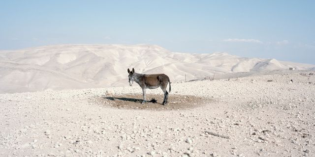 Πάρις Πετρίδης Βηθλεέμ, 2012 Εκτύπωση inkjet 100 x 140 εκ. Ευγενική παραχώρηση του καλλιτέχνη