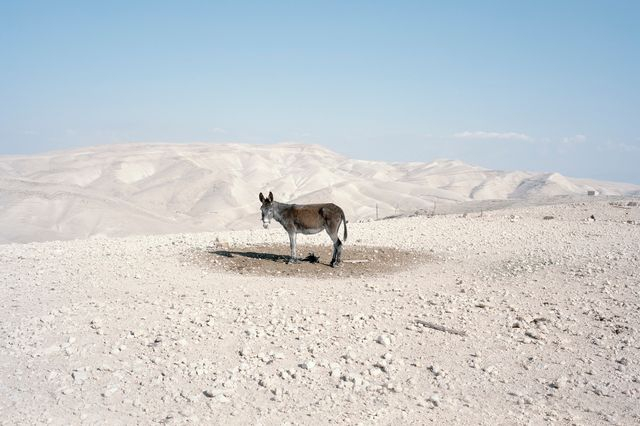 Πάρις Πετρίδης Βηθλεέμ, 2012 Εκτύπωση inkjet 100 x 140 εκ. Ευγενική παραχώρηση του καλλιτέχνη
