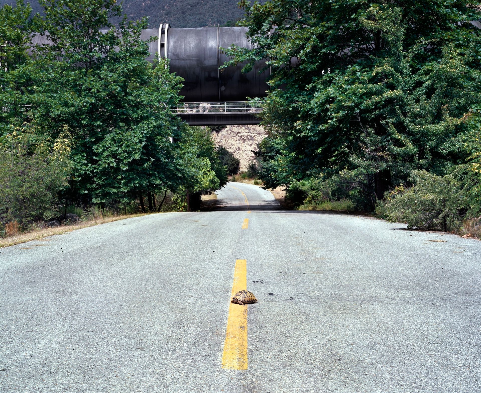 Πάρις ΠετρίδηςΗμαθία, 2006 Εκτύπωση inkjet 80 x 100 εκ. Ευγενική παραχώρηση του καλλιτέχνη 