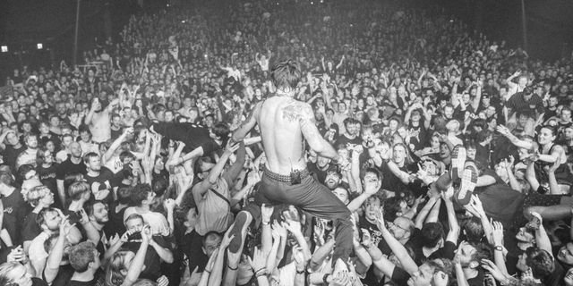 While She Sleeps