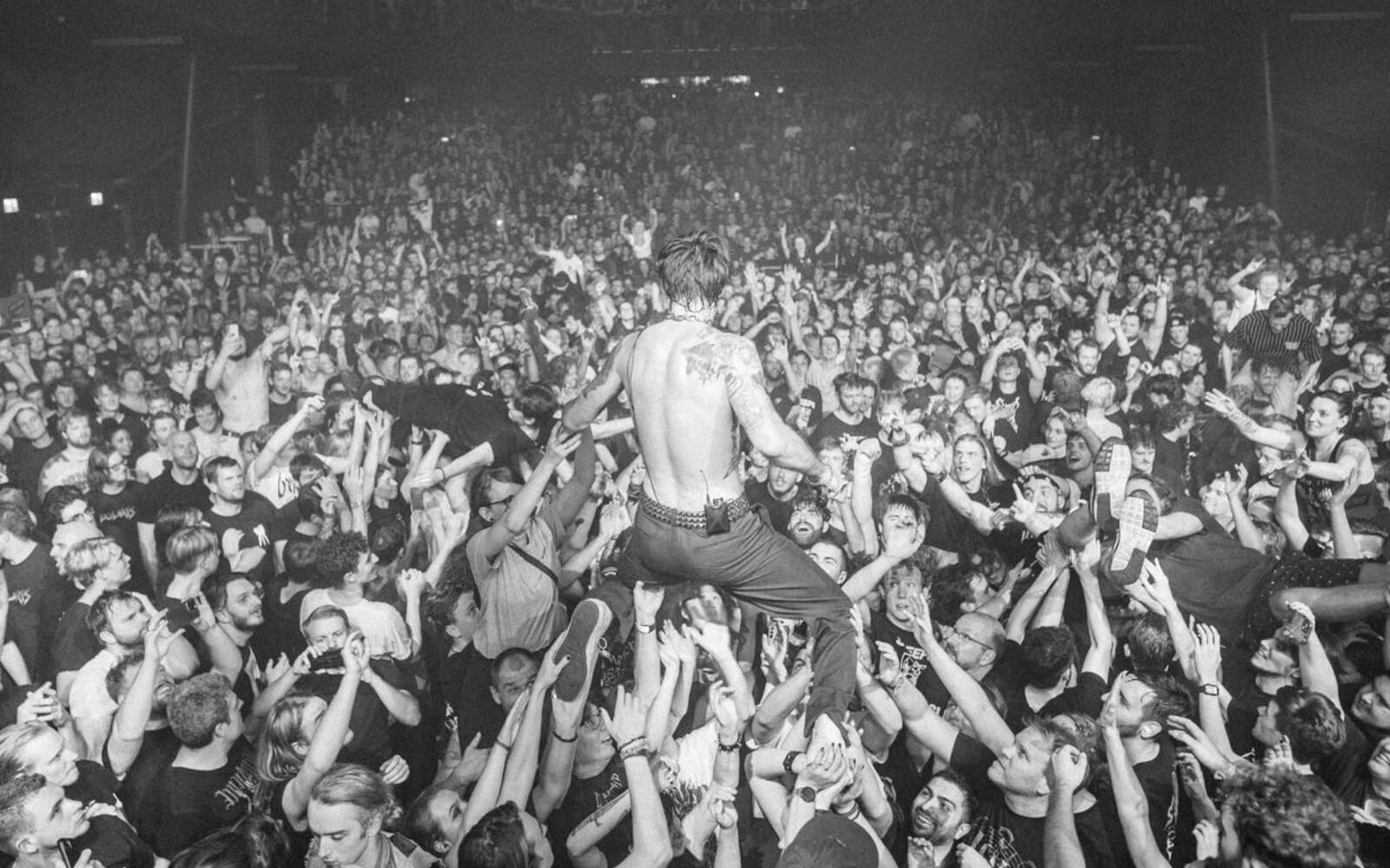 While She Sleeps