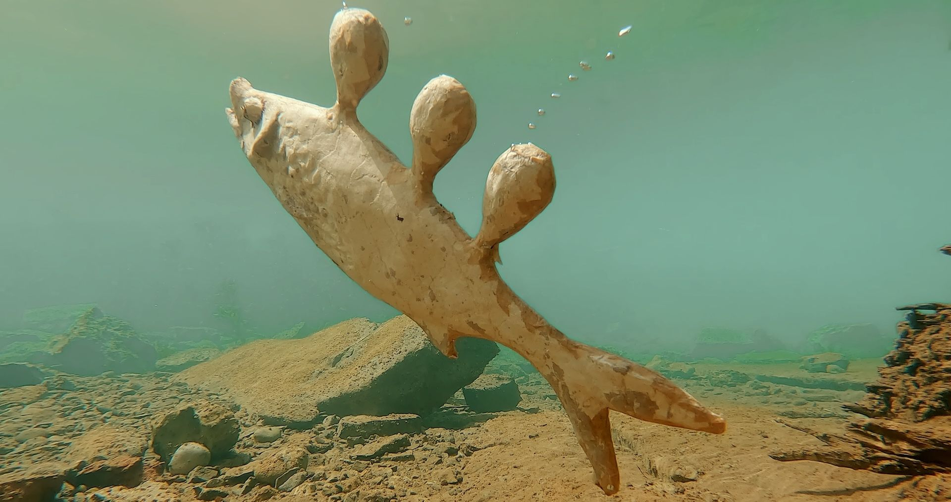 Driant ZeneliThose Sweet Murky Waters, 2023 (στιγμιότυπο)
Μονοκάναλο βίντεο 4 K, έχρωμο, με ήχο, 13’ 16’’
Παραγωγή Fondazione Merz
Ευγενική παραχώρηση του καλλιτέχνη και της Γκαλερί Giorgio Persano, Τορίνο