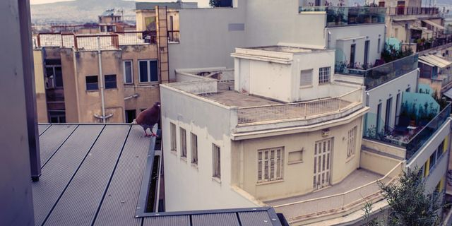 Συνεχίζεται η άνοδος της αξίας των ακινήτων στα Δυτικά Προάστια της Αθήνας – Πώς επιδρά στα ενοίκια
