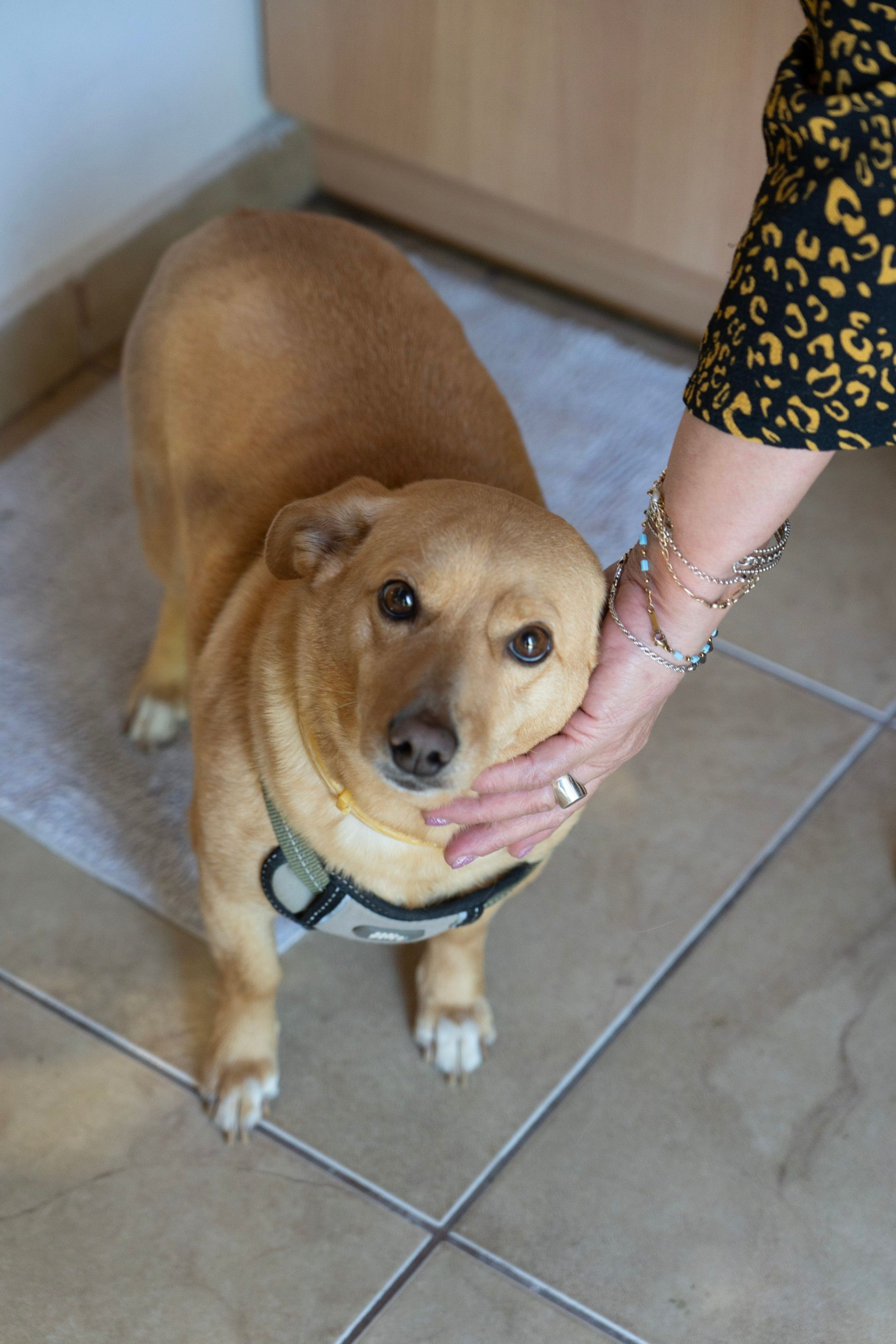 Μπίνγκο στη Λέσχη Φιλίας Νέου Κόσμου "Ανάληψις Κυρίου"