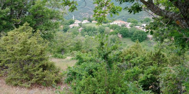 Το κρησφύγετο του Τούρκου που πυροβόλησε το κλιμάκιο της ΕΥΠ