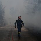 Θεσσαλονίκη: Χωρίς ενεργό μέτωπο η φωτιά στη Σίνδο