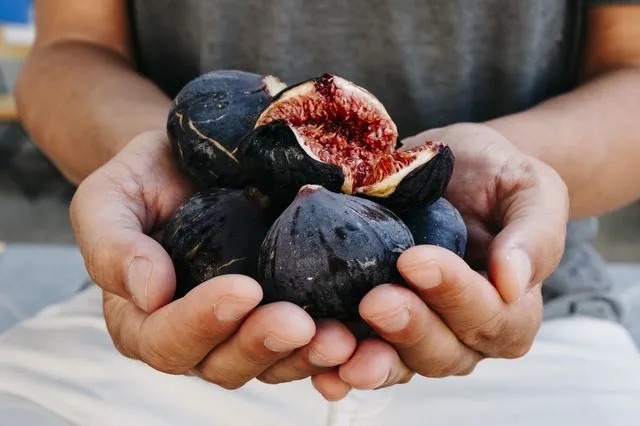 Τα σύκα που τρως μπορεί να μην είναι vegan