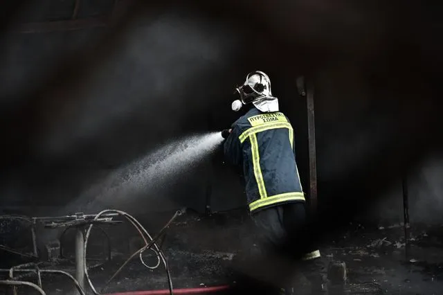 Φωτιά σε επιχείρηση ξυλείας στη Μάνδρα