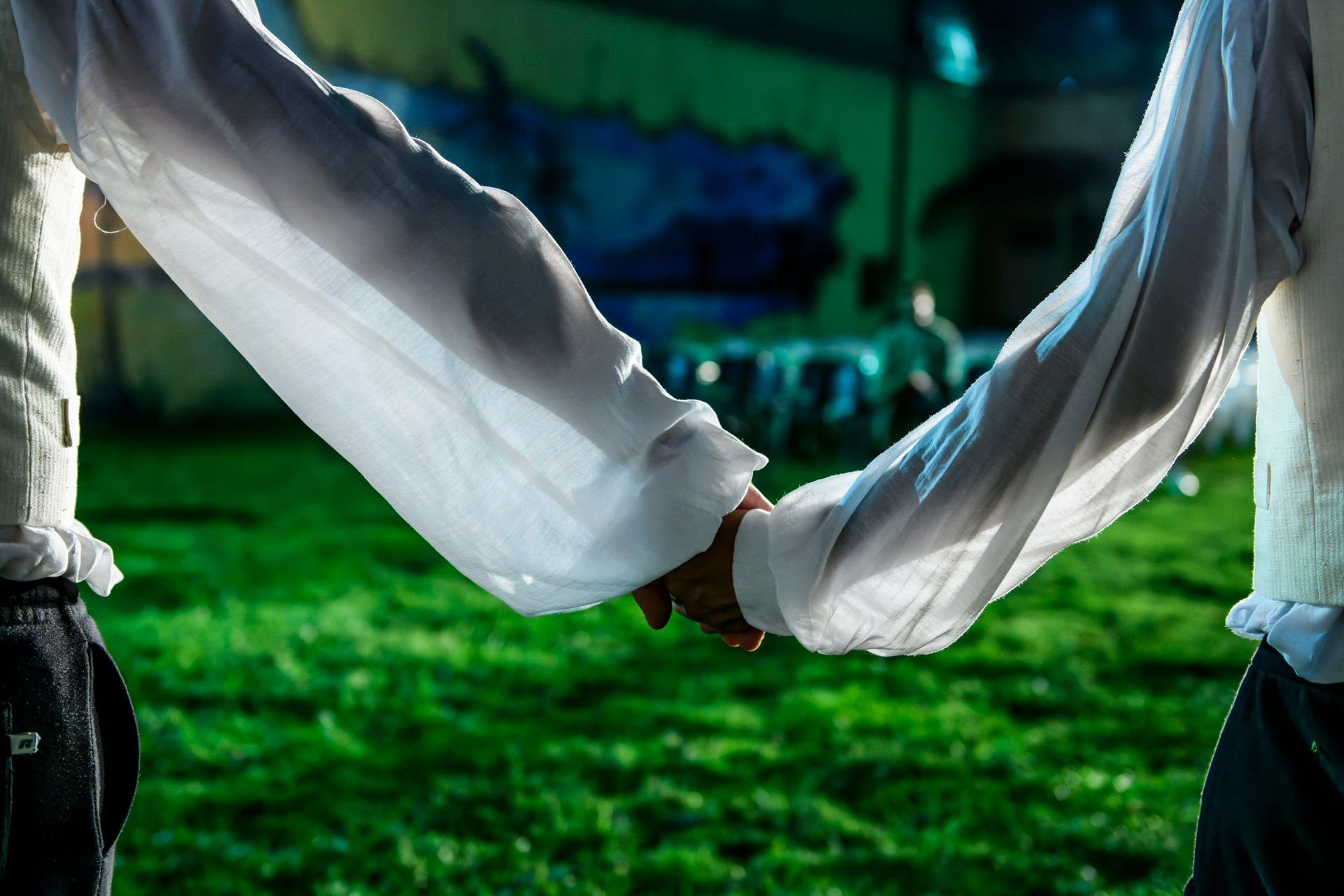 Σφήκες- Κορυδαλλός