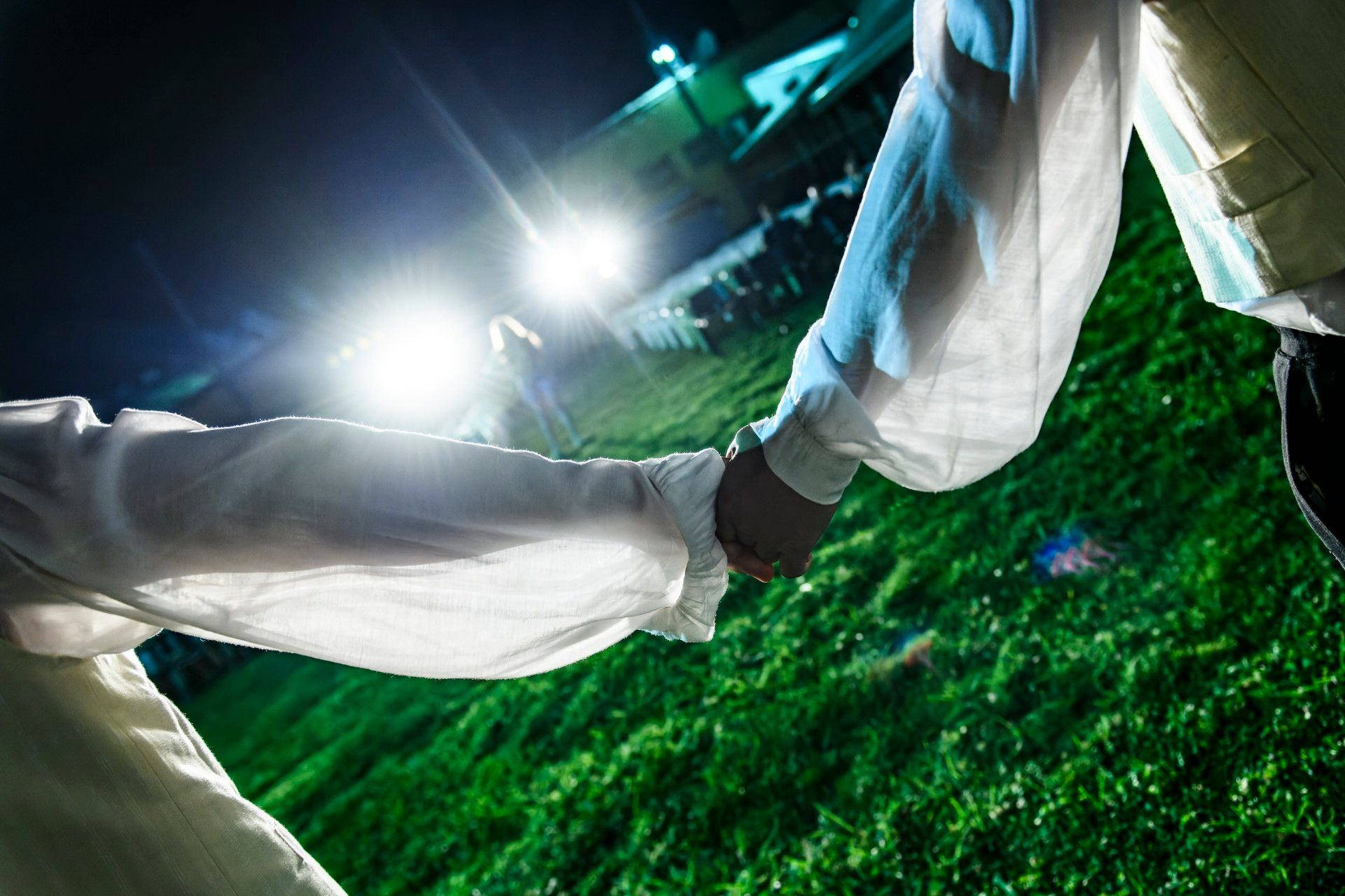 Σφήκες- Κορυδαλλός