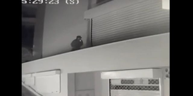 Γλυφάδα: Βίντεο ντοκουμέντο με τον διαρρήκτη που “μπούκαρε” τρεις φορές στην ίδια επιχείρηση