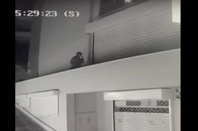 Γλυφάδα: Βίντεο ντοκουμέντο με τον διαρρήκτη που “μπούκαρε” τρεις φορές στην ίδια επιχείρηση