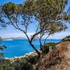 Καιρός