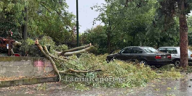 Λαμία: Πτώσεις δέντρων και διακοπή ρεύματος λόγω σφοδρής καταιγίδας