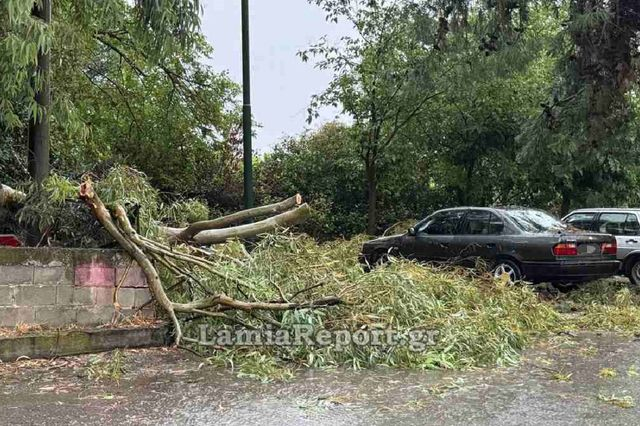 Λαμία: Πτώσεις δέντρων και διακοπή ρεύματος λόγω σφοδρής καταιγίδας
