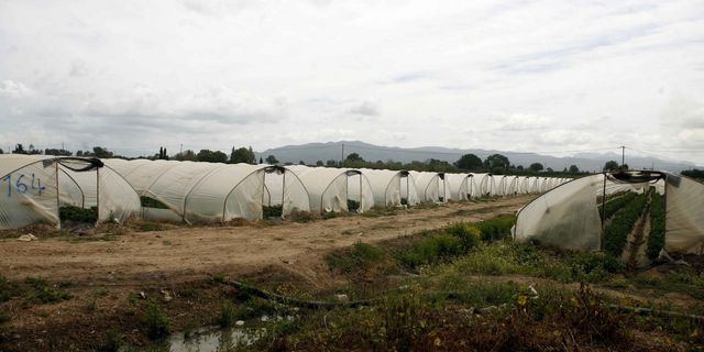 Νέα Μανωλάδα: Μεγάλη φωτιά σε παραπήγματα εργατών γης