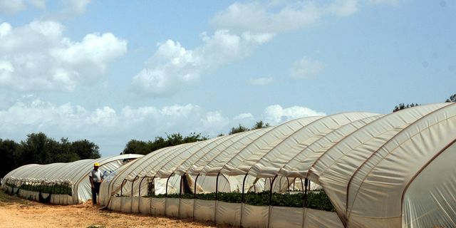 Υπό μερικό έλεγχο η φωτιά στη Νέα Μανωλάδα – Βίντεο