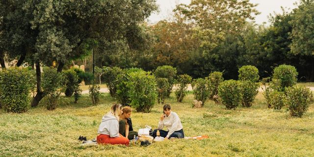 Το Φεστιβάλ του Δήμου Αθηναίων ξεκινά την Πρωτομαγιά με πικ-νικ στο πάρκο της Ακαδημίας Πλάτωνος