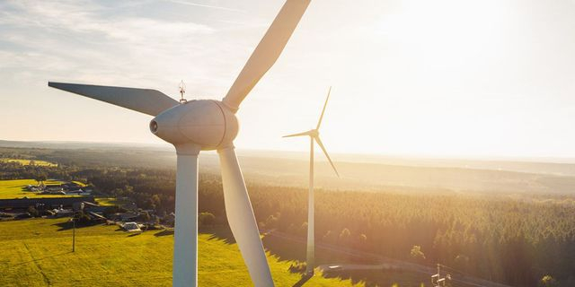 Lidl Ελλάς: Με πράξεις για το περιβάλλον και την κοινωνία – όχι απλώς με λόγια