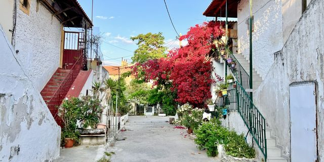 Περίπατος στη Νίκαια: Μια πράξη μνήμης και διεκδίκησης στο πεδίο της πόλης