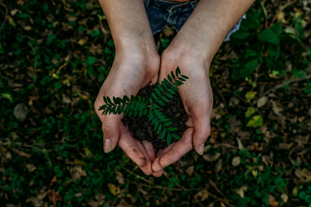 Η P&G και το WWF Ελλάς ενώνουν δυνάμεις απέναντι στις προκλήσεις