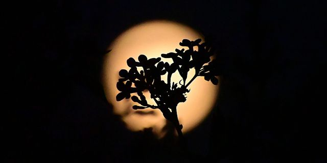Πανσέληνος Μαΐου: Πότε θα δούμε το “Φεγγάρι των Λουλουδιών”