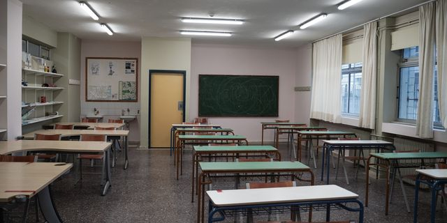 Οι στρουθοκάμηλοι των ελληνικών σχολείων