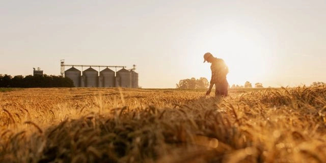 Από το χωράφι στο ράφι – Χάσμα έως και 250% στις τιμές