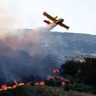 Σε επίπεδα ρεκόρ οι εκπομπές διοξειδίου του άνθρακα στην Ευρώπη λόγω των δασικών πυρκαγιών